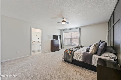 Tiny photo for 7502 Game Bird St, Corryton, TN 37721 (MLS # 1357537)