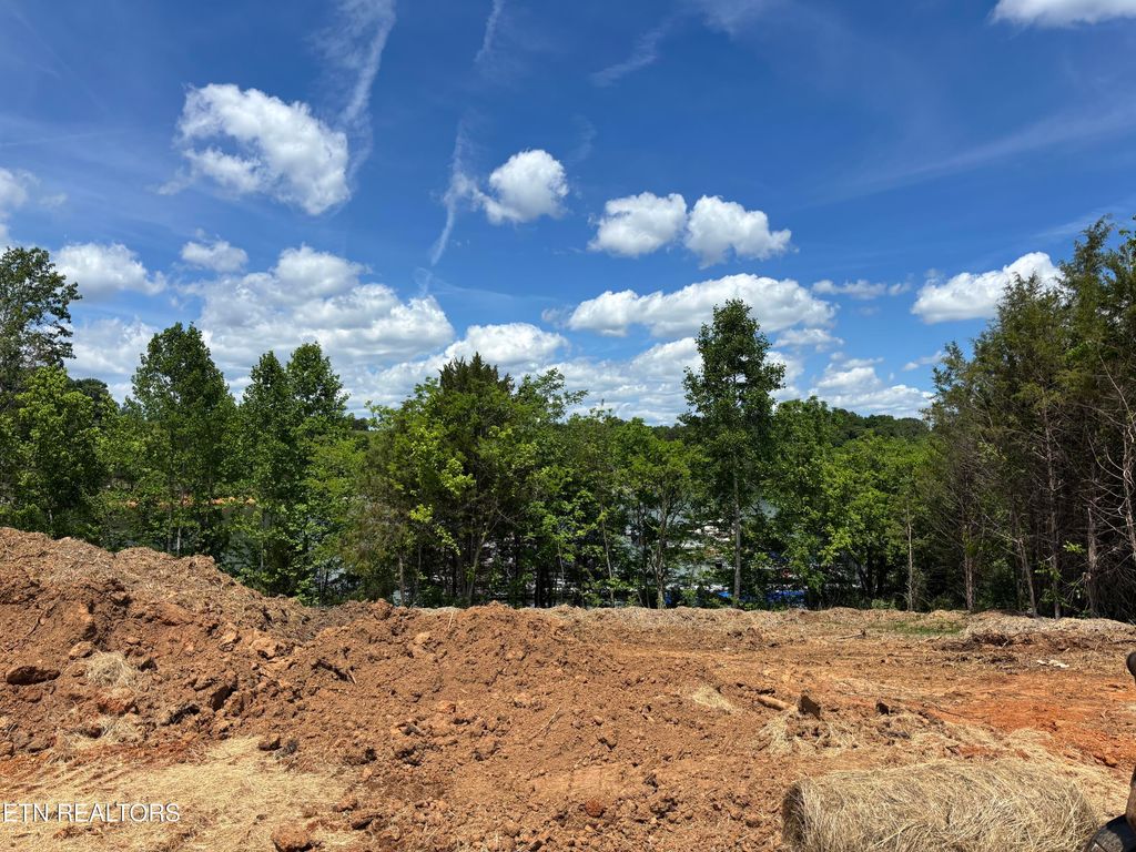 Photo of 311 Waya Tr, Vonore, TN 37885 (MLS # 1338664)