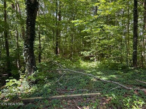 Bates Gibson Rd Sevierville TN 37876