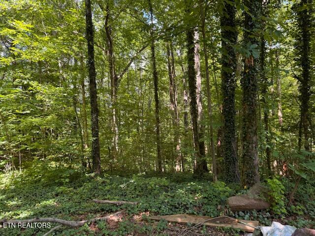 Bates Gibson Rd