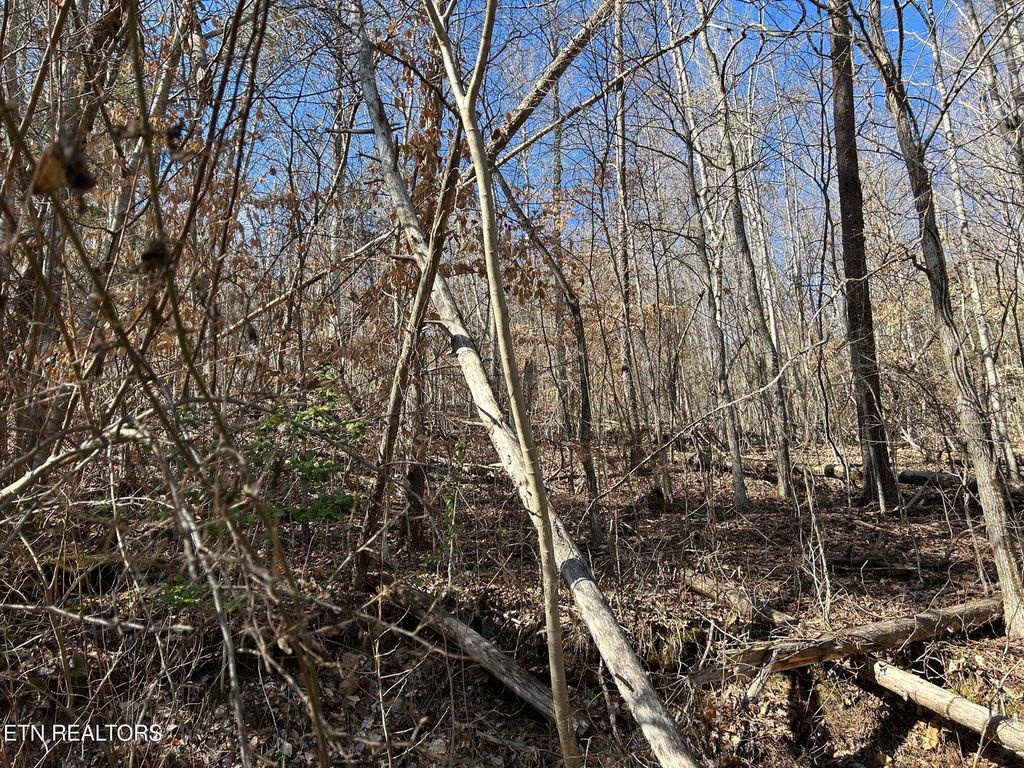 Photo of 317 Cherry Lane, Caryville, TN 37714 (MLS # 1286272)