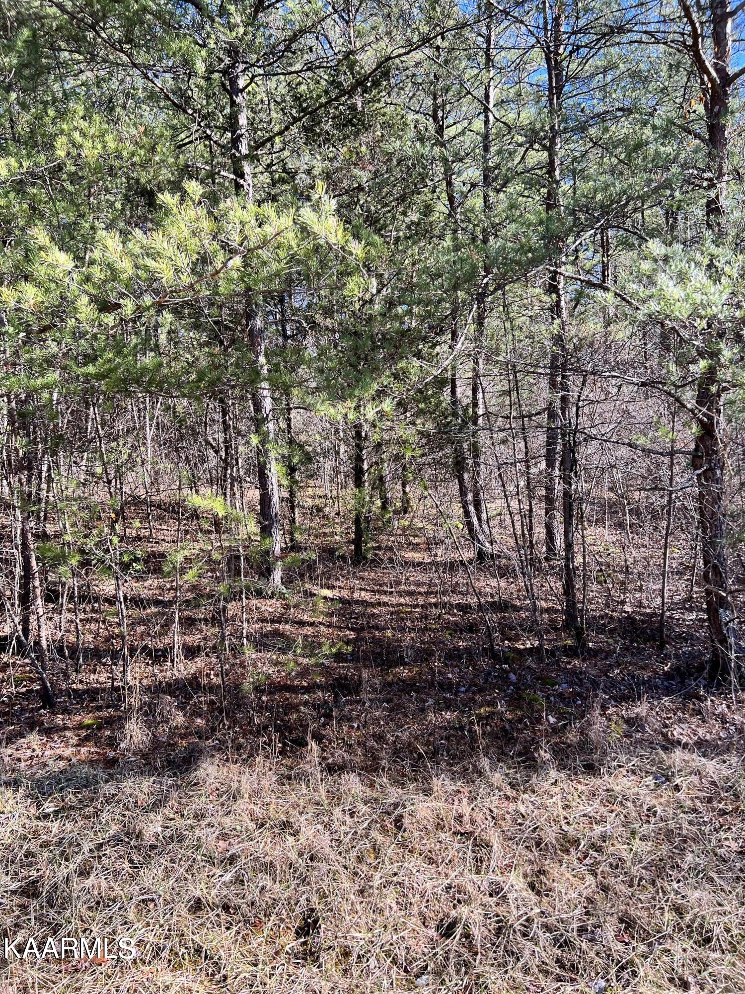 View Crossville, TN 38558 land