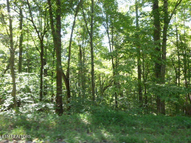 Bankston Lane 129A A 061.00