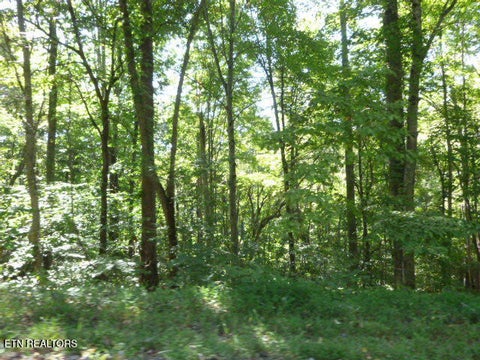 Tiny photo for Bankston Lane #129A A 061.00, LaFollette, TN 37766 (MLS # 1356247)