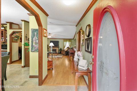 Tiny photo for 156 Lee Terry Rd, Wartburg, TN 37887 (MLS # 1326674)