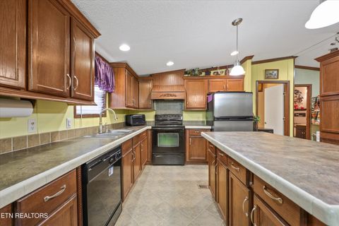Tiny photo for 156 Lee Terry Rd, Wartburg, TN 37887 (MLS # 1326674)