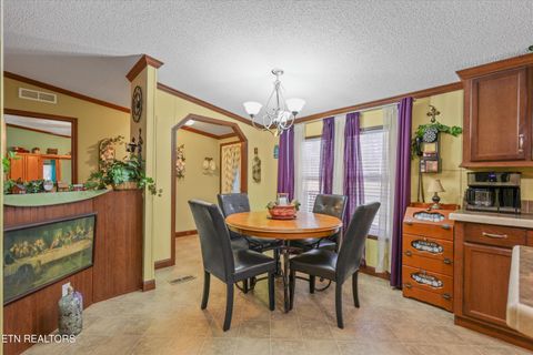 Tiny photo for 156 Lee Terry Rd, Wartburg, TN 37887 (MLS # 1326674)