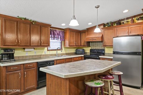 Tiny photo for 156 Lee Terry Rd, Wartburg, TN 37887 (MLS # 1326674)