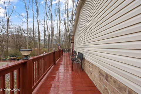 Tiny photo for 156 Lee Terry Rd, Wartburg, TN 37887 (MLS # 1326674)