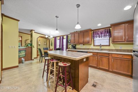 Tiny photo for 156 Lee Terry Rd, Wartburg, TN 37887 (MLS # 1326674)