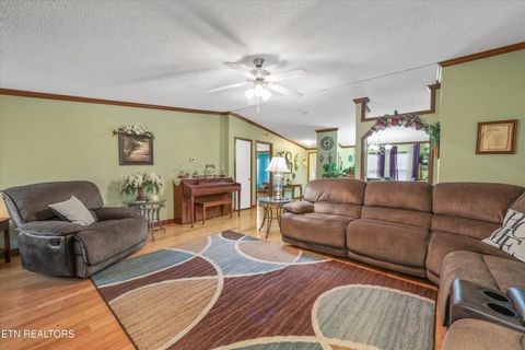 Tiny photo for 156 Lee Terry Rd, Wartburg, TN 37887 (MLS # 1326674)