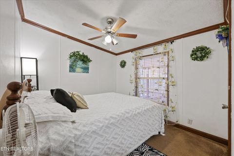 Tiny photo for 156 Lee Terry Rd, Wartburg, TN 37887 (MLS # 1326674)