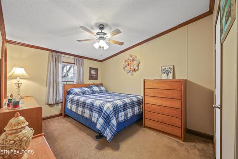 Tiny photo for 156 Lee Terry Rd, Wartburg, TN 37887 (MLS # 1326674)