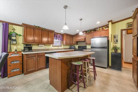 Tiny photo for 156 Lee Terry Rd, Wartburg, TN 37887 (MLS # 1326674)