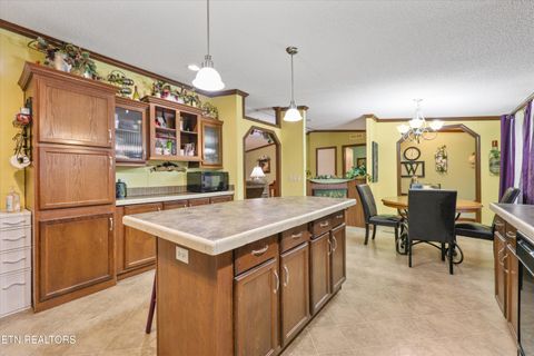 Tiny photo for 156 Lee Terry Rd, Wartburg, TN 37887 (MLS # 1326674)