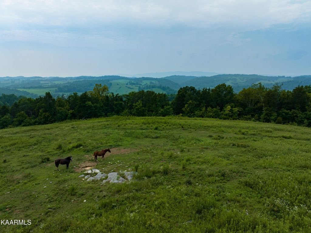 Photo of 0 River Rd, Tazewell, TN 37879 (MLS # 1234736)