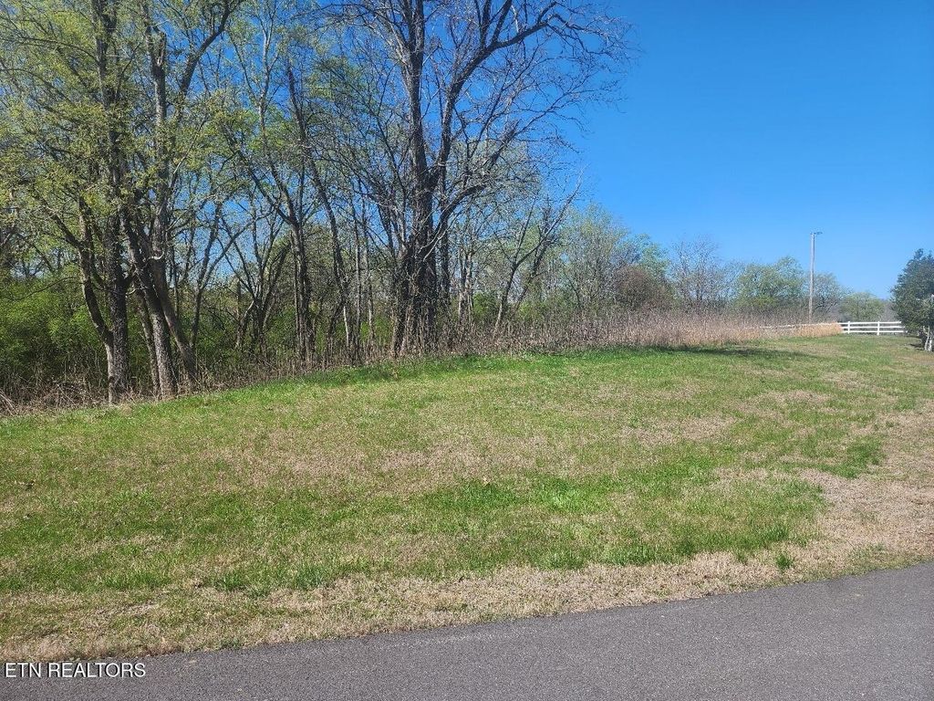 Photo of 237 E Shore Drive, Rockwood, TN 37854 (MLS # 1334836)