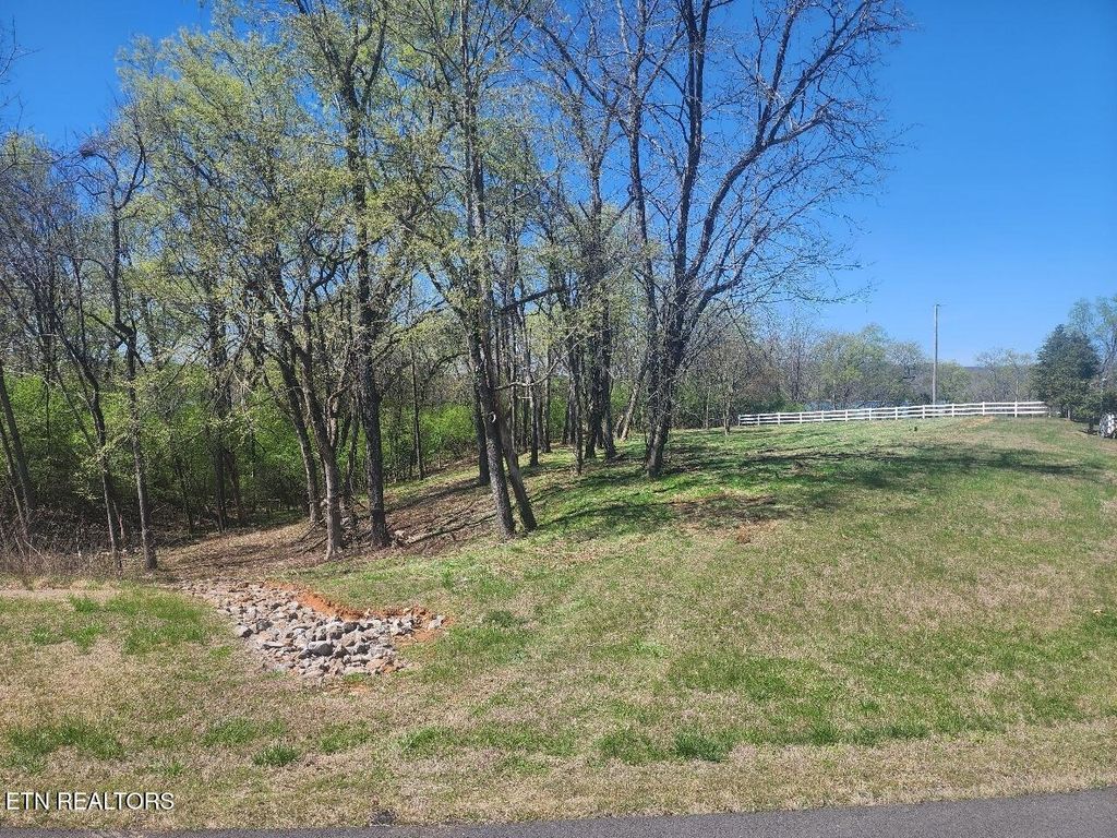 Photo of 237 E Shore Drive, Rockwood, TN 37854 (MLS # 1334836)