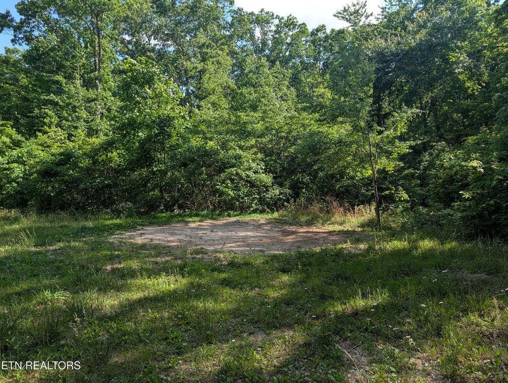 Photo of 9495 Red Oak Lane, Spring City, TN 37381 (MLS # 1341706)