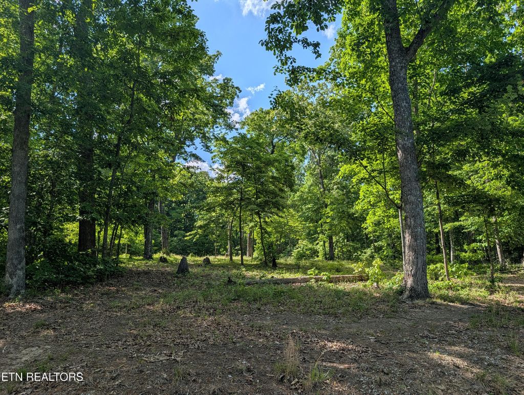 Photo of 9495 Red Oak Lane, Spring City, TN 37381 (MLS # 1341706)