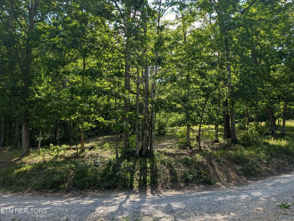Photo of 9495 Red Oak Lane, Spring City, TN 37381 (MLS # 1341706)