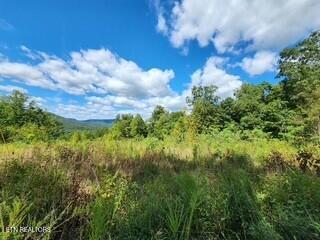 Tiny photo for 72 Tomahawk Rd, Jamestown, TN 38556 (MLS # 1356010)