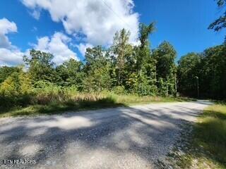 Tiny photo for 72 Tomahawk Rd, Jamestown, TN 38556 (MLS # 1356010)