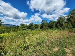 Tiny photo for 72 Tomahawk Rd, Jamestown, TN 38556 (MLS # 1356010)