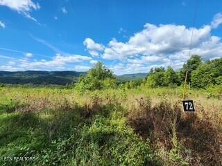 Tiny photo for 72 Tomahawk Rd, Jamestown, TN 38556 (MLS # 1356010)