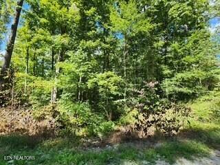 Tiny photo for 72 Tomahawk Rd, Jamestown, TN 38556 (MLS # 1356010)