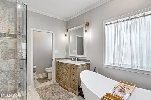 Tiny photo for 9607 Gunnies Drive, Kodak, TN 37764 (MLS # 1340293)