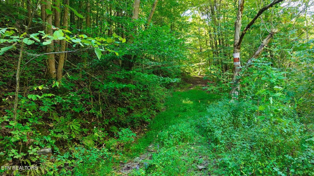 Photo of 1 Conner Rd, Powell, TN 37849 (MLS # 1359124)
