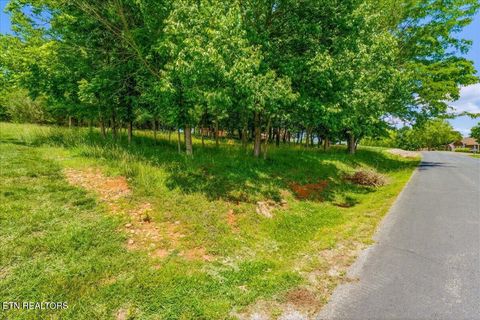 Tiny photo for 115 Eladi Tr, Vonore, TN 37885 (MLS # 1340732)