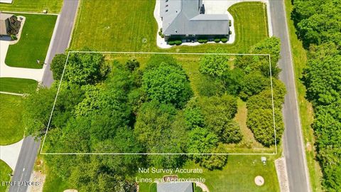 Tiny photo for 115 Eladi Tr, Vonore, TN 37885 (MLS # 1340732)