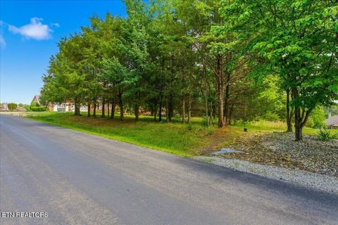 Tiny photo for 115 Eladi Tr, Vonore, TN 37885 (MLS # 1340732)