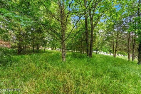 Tiny photo for 115 Eladi Tr, Vonore, TN 37885 (MLS # 1340732)