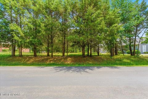 Photo of 115 Eladi Tr, Vonore, TN 37885 (MLS # 1340732)