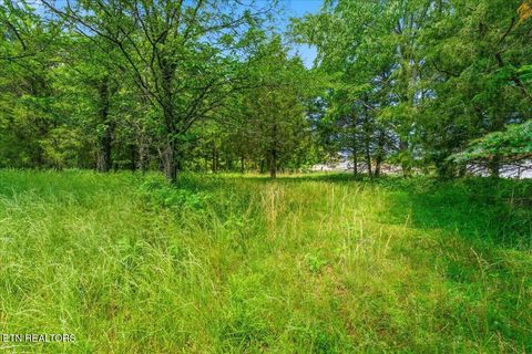 Tiny photo for 115 Eladi Tr, Vonore, TN 37885 (MLS # 1340732)