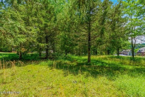 Tiny photo for 115 Eladi Tr, Vonore, TN 37885 (MLS # 1340732)