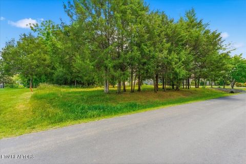 Tiny photo for 115 Eladi Tr, Vonore, TN 37885 (MLS # 1340732)