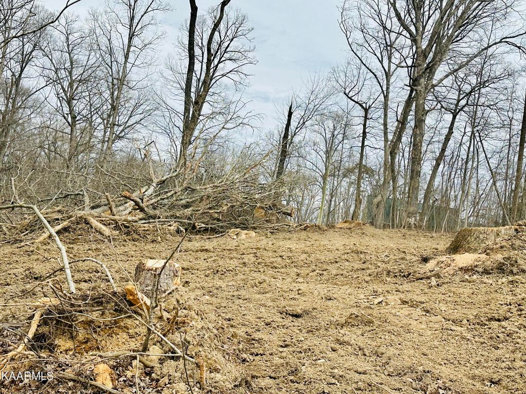 Photo of CROSS Drive, Tazewell, TN 37879 (MLS # 1220106)