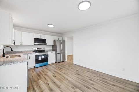 Tiny photo for 3034 Pete Worthington Rd, Evensville, TN 37332 (MLS # 1326803)