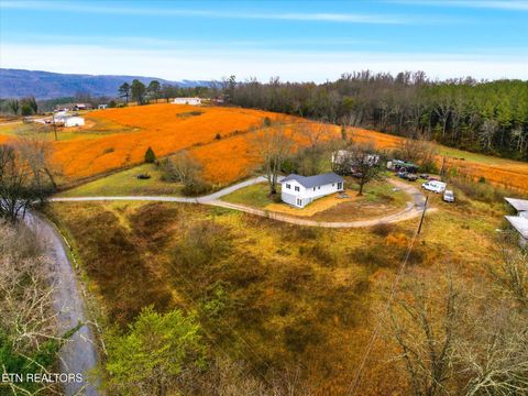 Tiny photo for 3034 Pete Worthington Rd, Evensville, TN 37332 (MLS # 1326803)