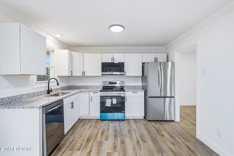 Tiny photo for 3034 Pete Worthington Rd, Evensville, TN 37332 (MLS # 1326803)