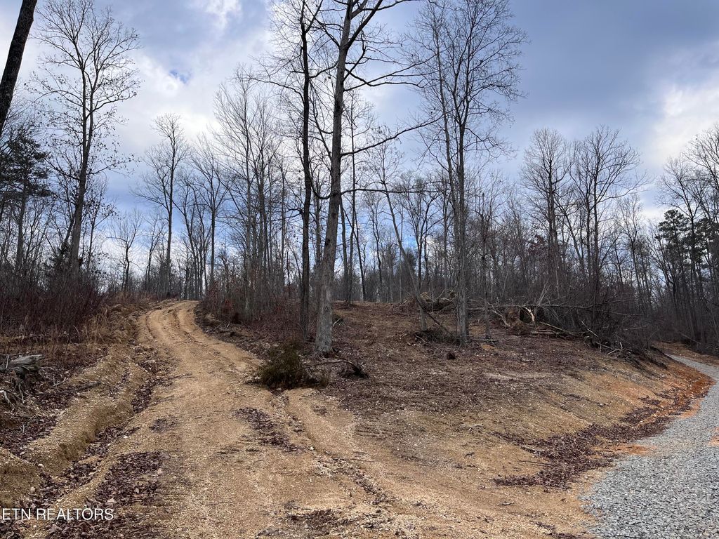Photo of Little Sycamore Rd, Tazewell, TN 37879 (MLS # 1255467)