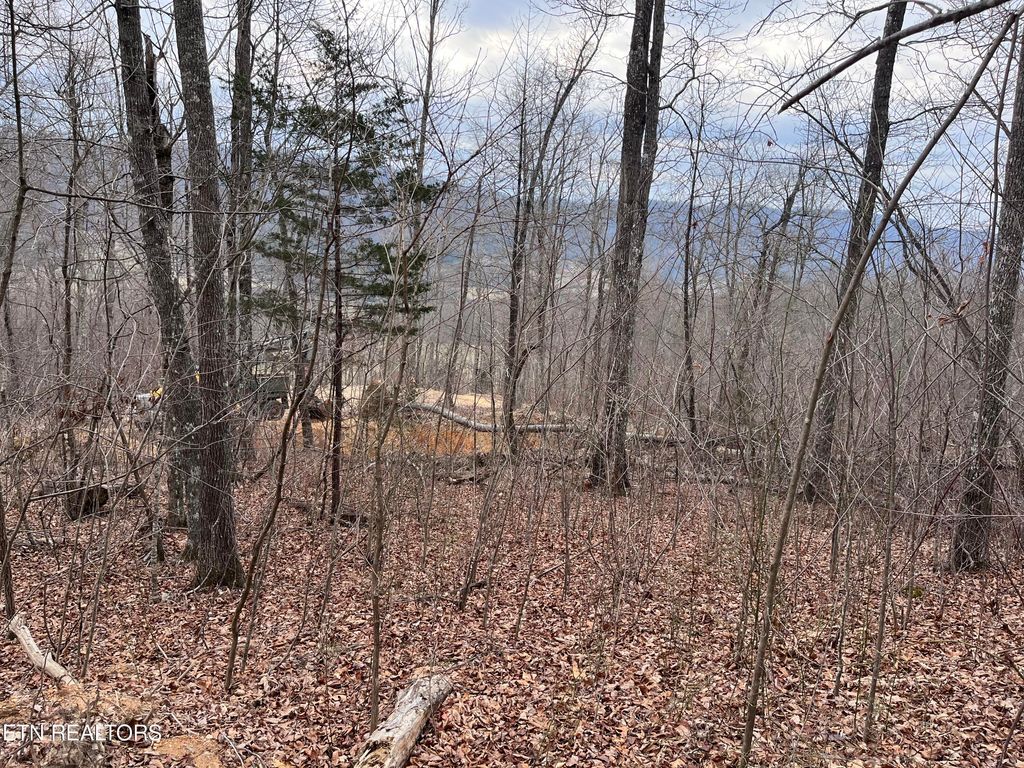 Photo of Little Sycamore Rd, Tazewell, TN 37879 (MLS # 1255467)