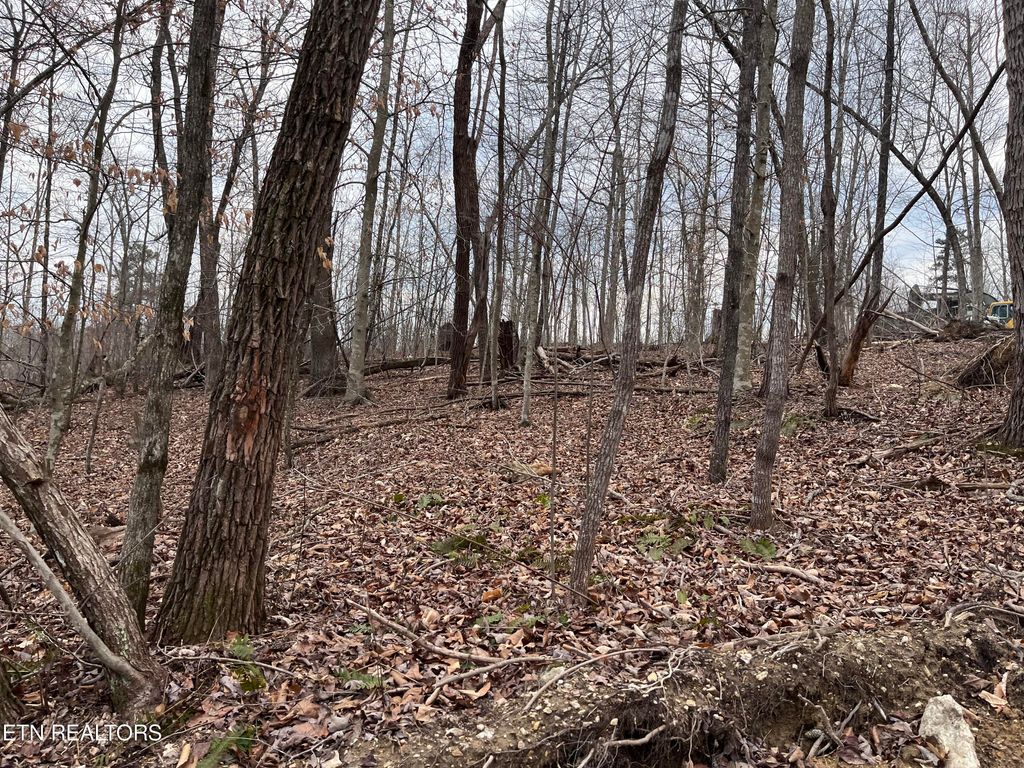 Photo of Little Sycamore Rd, Tazewell, TN 37879 (MLS # 1255467)