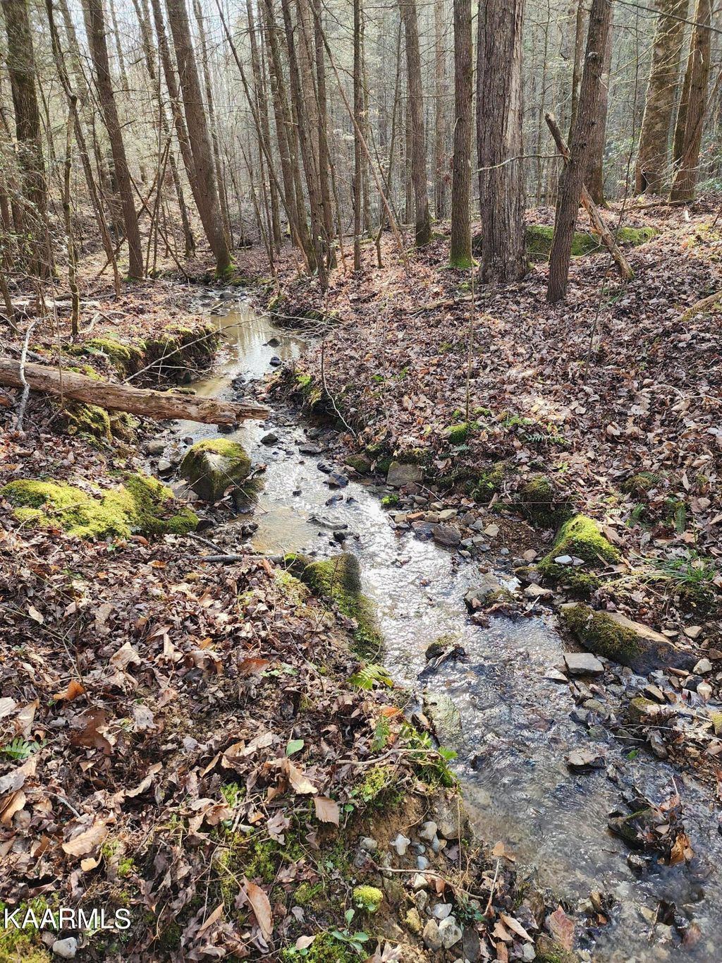 Photo of Bull Creek Rd, Huntsville, TN 37756 (MLS # 1220528)