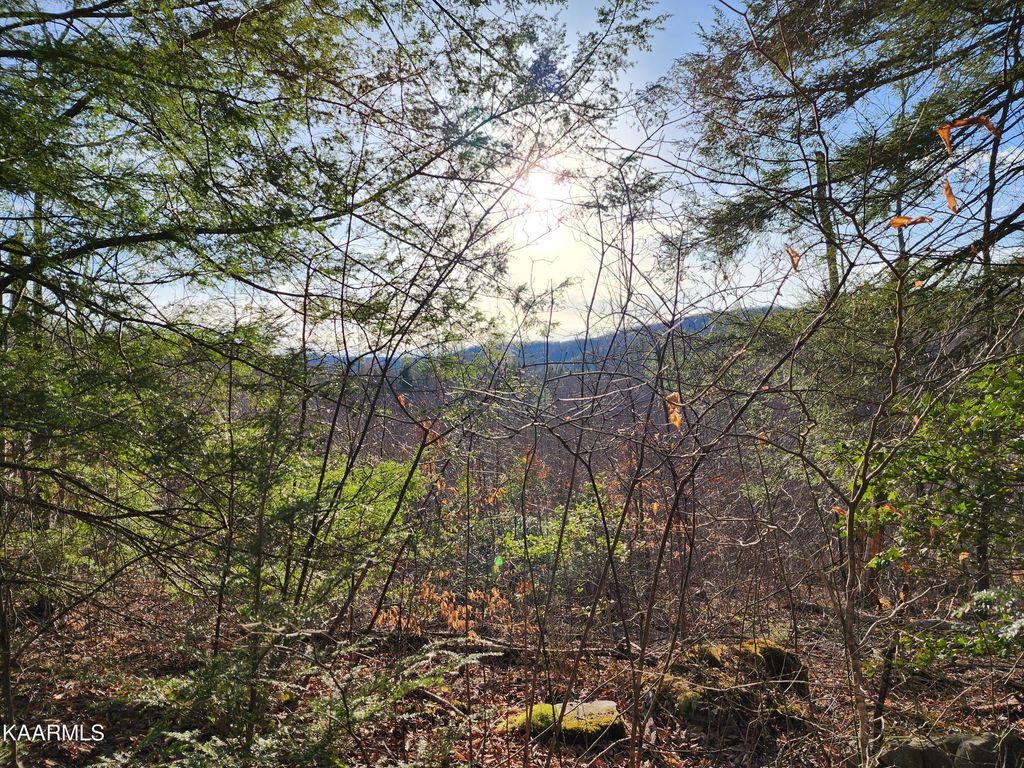 Photo of Bull Creek Rd, Huntsville, TN 37756 (MLS # 1220528)