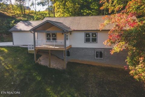 Tiny photo for 1002 Baldwins View Drive, New Market, TN 37820 (MLS # 1326003)